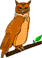 Owl Sitting on a Branch with Leaf - Nature Clipart