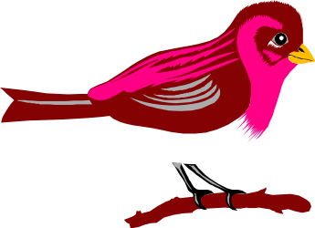 Red Bird with White and Gray Feathers Clipart