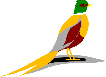 Green and Yellow Beak Bird Clipart for Nature Themes