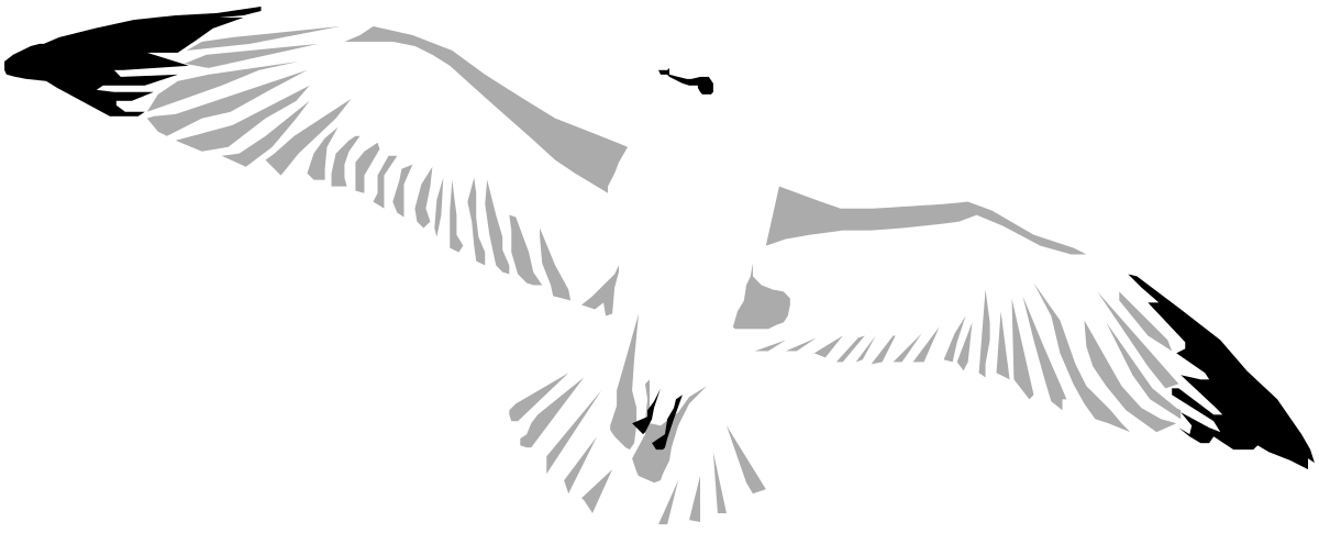 White Bird Flying in the Air - Elegant Clipart for Every Design