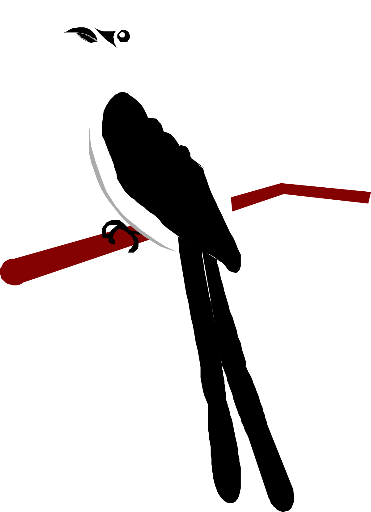 Bird on Branch Clipart  Vibrant Nature Illustration