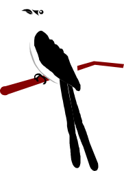 Bird on Branch Clipart  Vibrant Nature Illustration