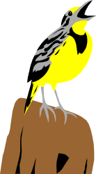 Bird Sitting on Rock Clipart - Perfect for Nature Themes