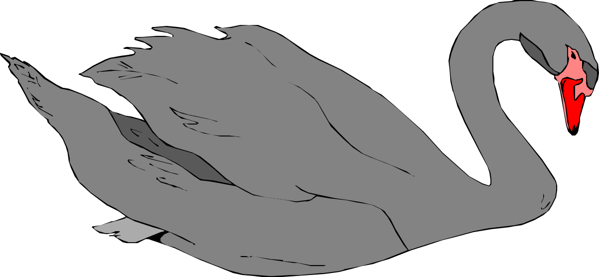 Black Swan with Red Beak Clipart for Stunning Visuals