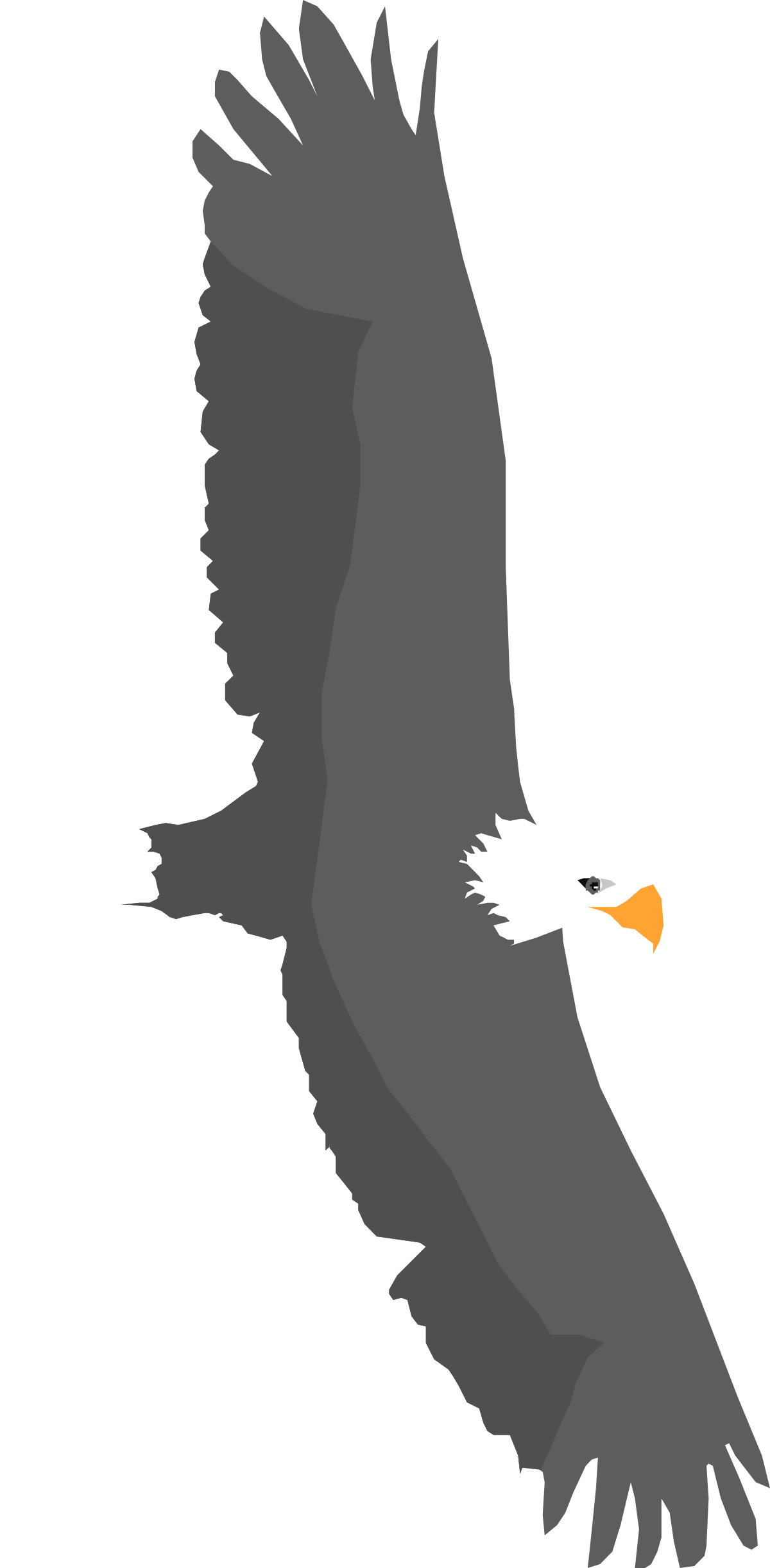 Eagle Flying in the Sky Clipart - Majestic Bird in Flight