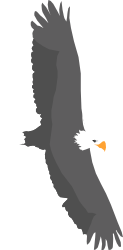 Eagle Flying in the Sky Clipart - Majestic Bird in Flight