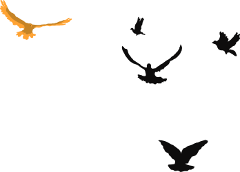 Flock of Birds Flying in the Air Clipart - Beautiful Avian Scene