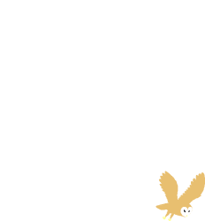 Bird Flying in the Air - Stunning Black Background Clipart