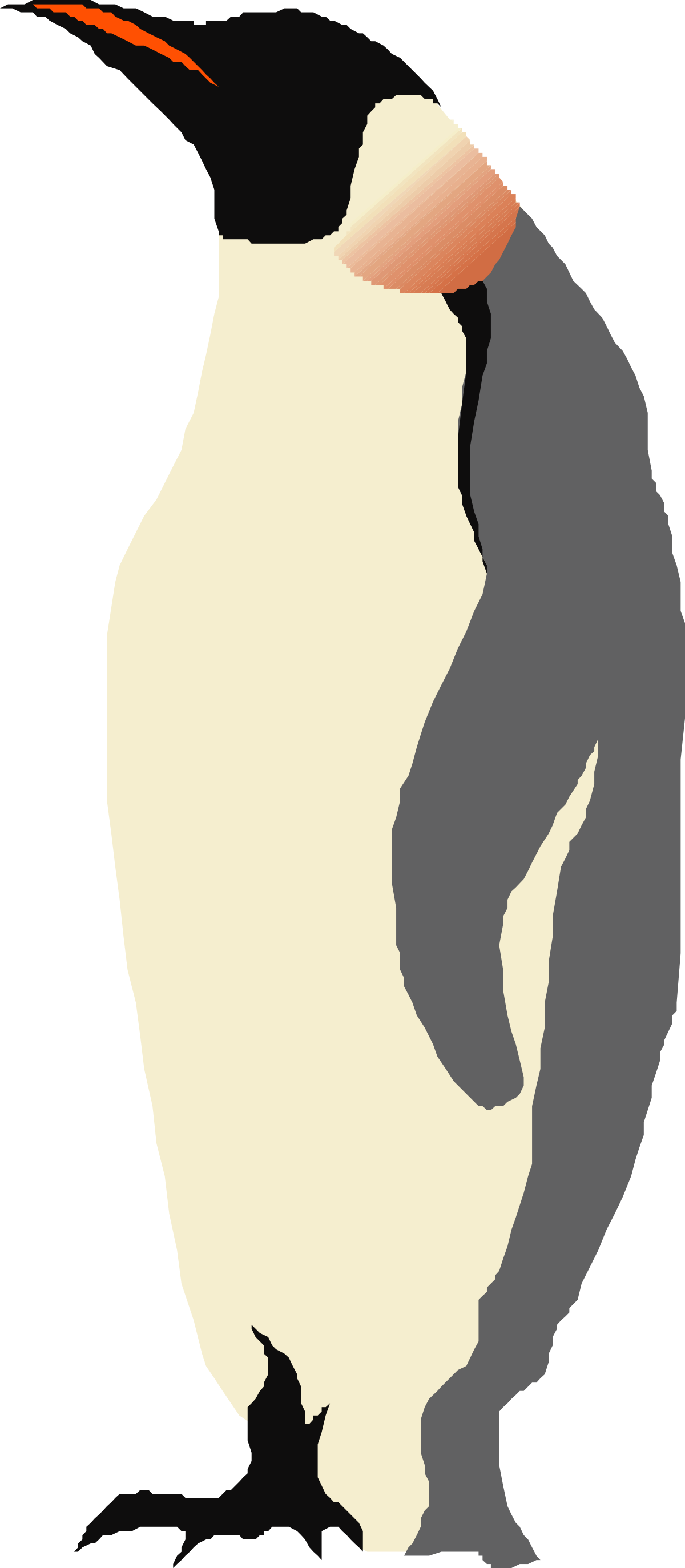 Penguin Clipart on Black Background - Perfect for Creative Projects