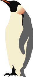 Penguin Clipart on Black Background - Perfect for Creative Projects