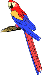 Colorful Parrot Sitting on Branch - Vibrant Wildlife Clipart