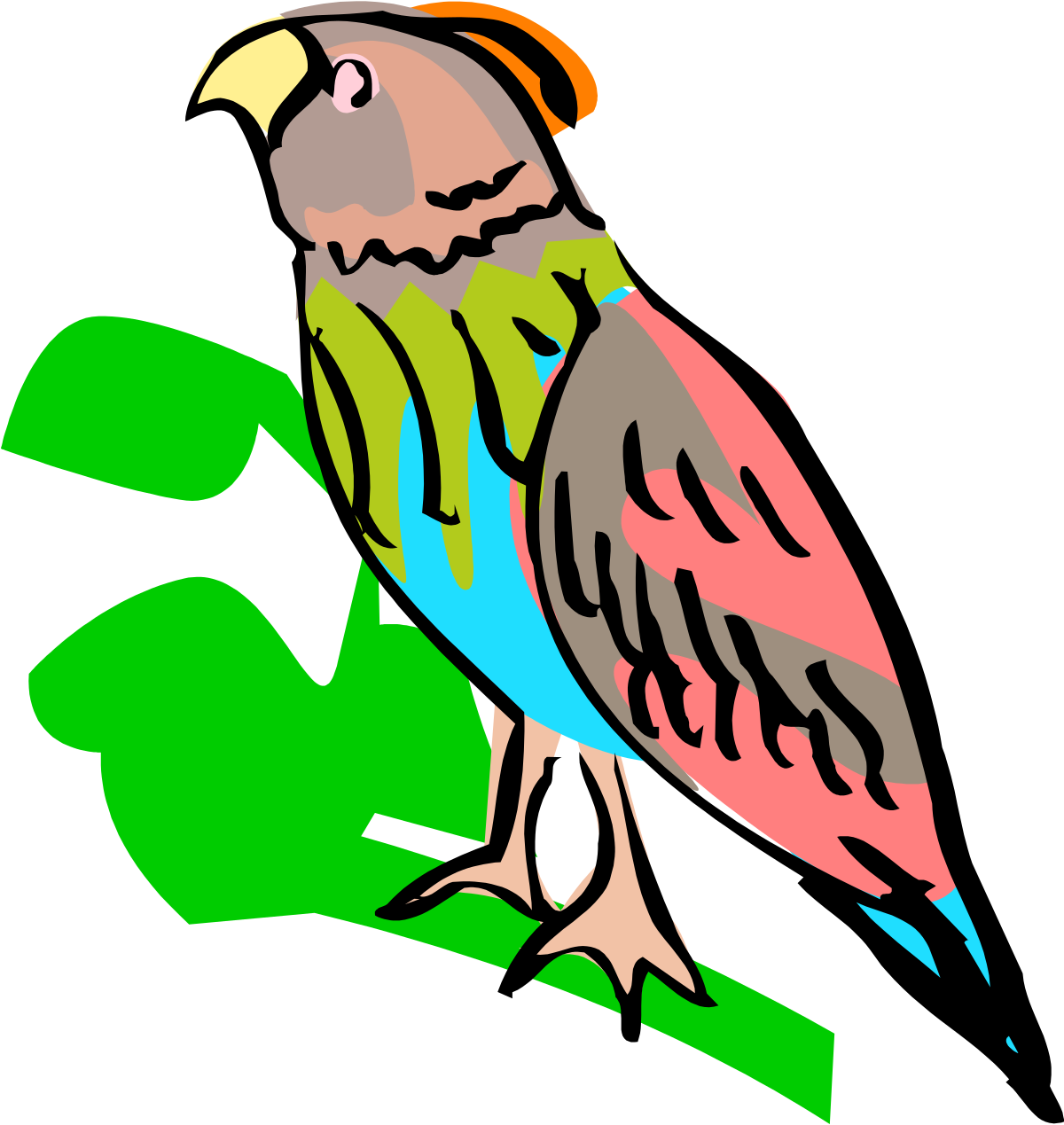 Colorful Bird on Leaf Clipart: Vibrant Nature Scene