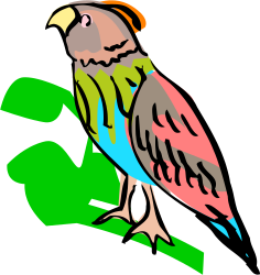 Colorful Bird on Leaf Clipart: Vibrant Nature Scene