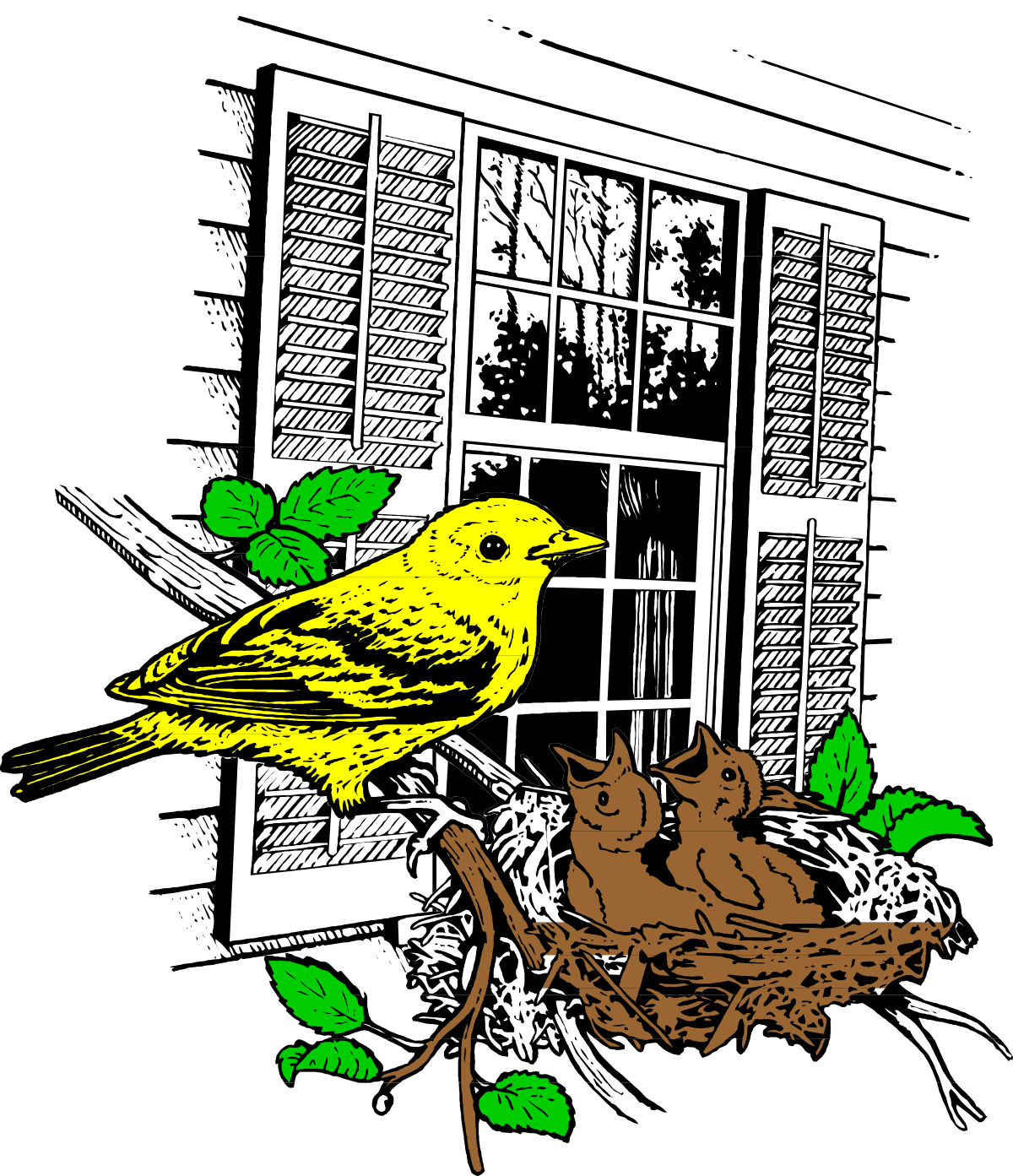 Bird on Tree Branch Clipart - Nature's Finest Illustration