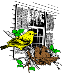 Bird on Tree Branch Clipart - Nature's Finest Illustration