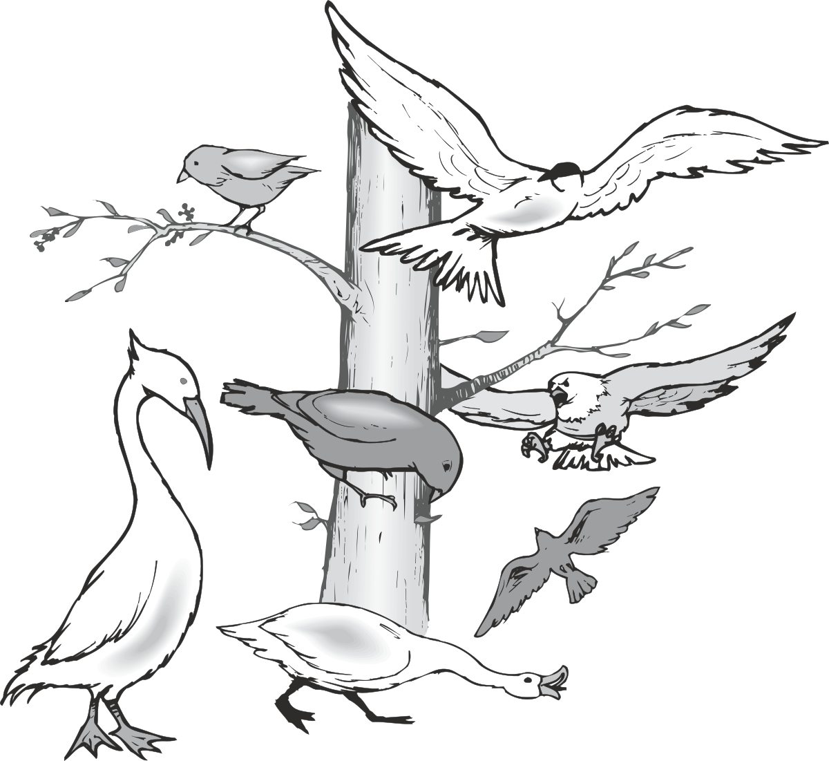 Flock of Birds Clipart: Elegant Avian Designs for Creative Projects