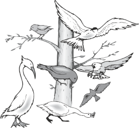 Flock of Birds Clipart: Elegant Avian Designs for Creative Projects