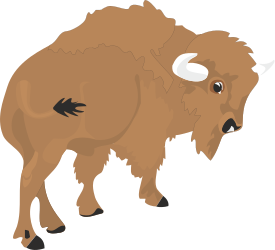 Bison with Big Horns Clipart - Majestic Wildlife Illustration
