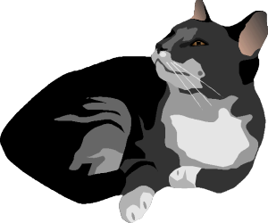 Black and White Cat Sitting on Its Back - Adorable Clipart Illustration