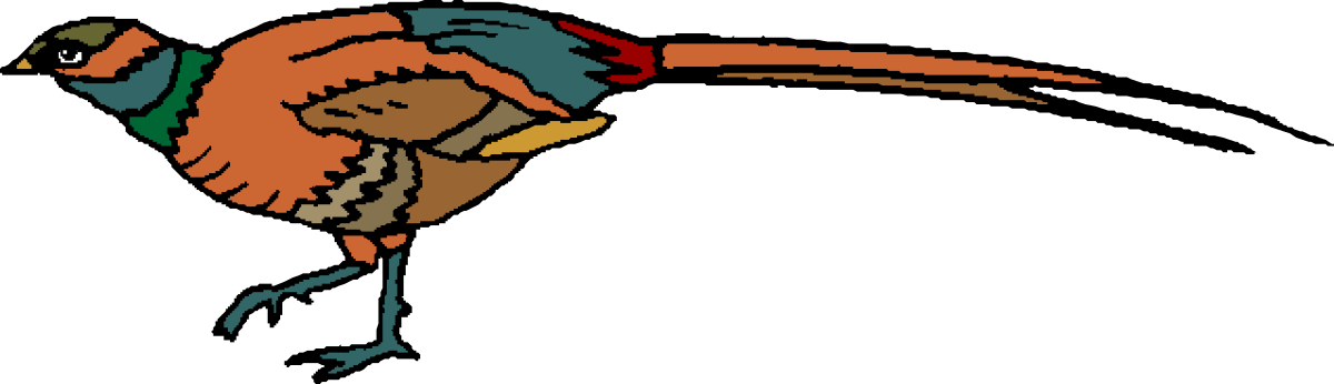 Bird with Red Beak Clipart: Vibrant Avian Illustration