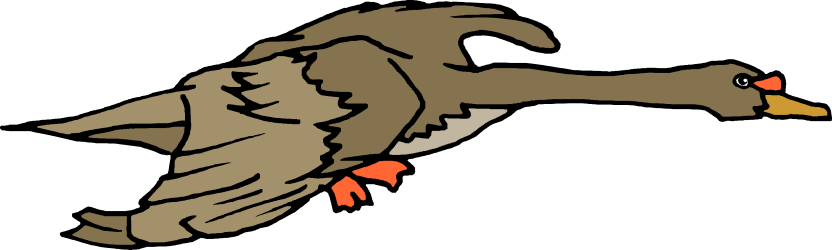 Bird Flying in the Air | Stunning Winged Clipart Imagery