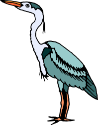 Bird with Long Beak on Black Background Clipart