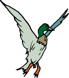 Bird Flying in the Air with Spread Wings Clipart