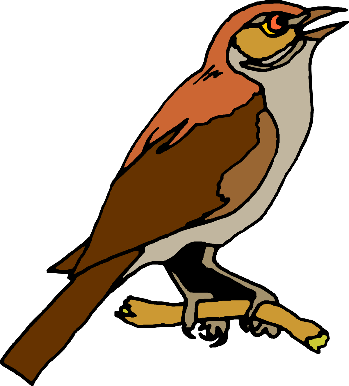 Bird on Branch Clipart - Nature Illustration for Creative Projects