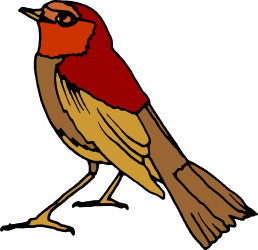 Bird on Black Background Clipart for Unique Designs