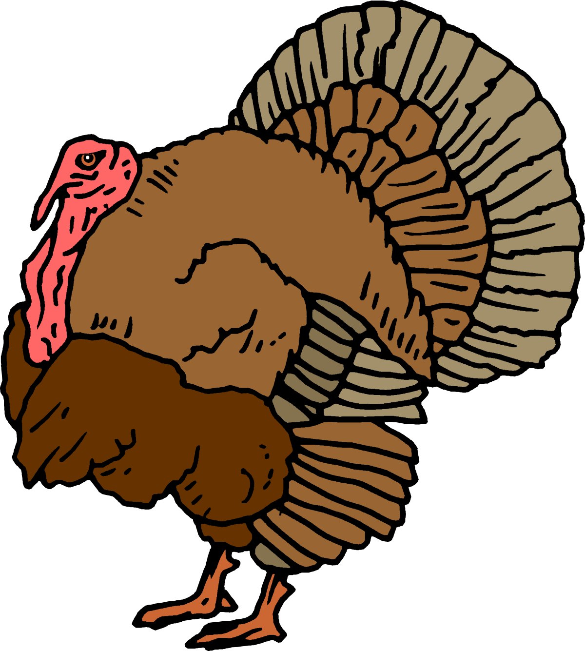 Turkey Clipart: Vibrant Red-Headed Turkey with Brown Tail