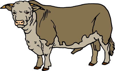 Cow Standing on Black Background - Clipart for Unique Designs