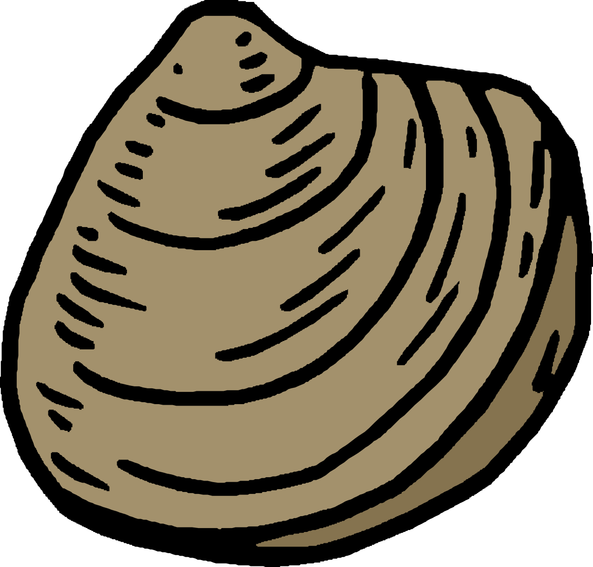 Shell Illustration on Black Background - Stunning Clipart for Various Uses