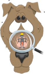 Bear Exploring Nature with Magnified Eye Clipart