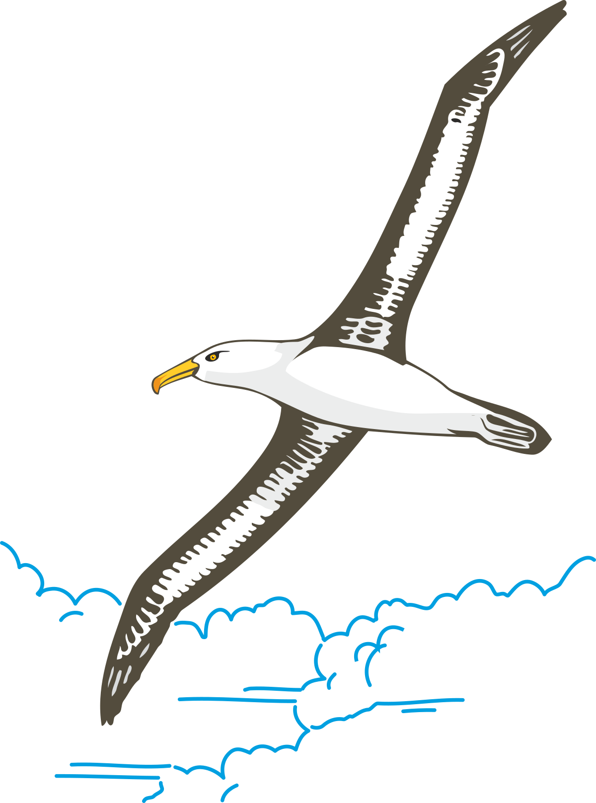 Flying Bird in Sky with Clouds Clipart Collection