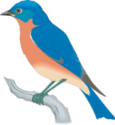 Bird Sitting on Branch Clipart: Stunning Nature Illustration