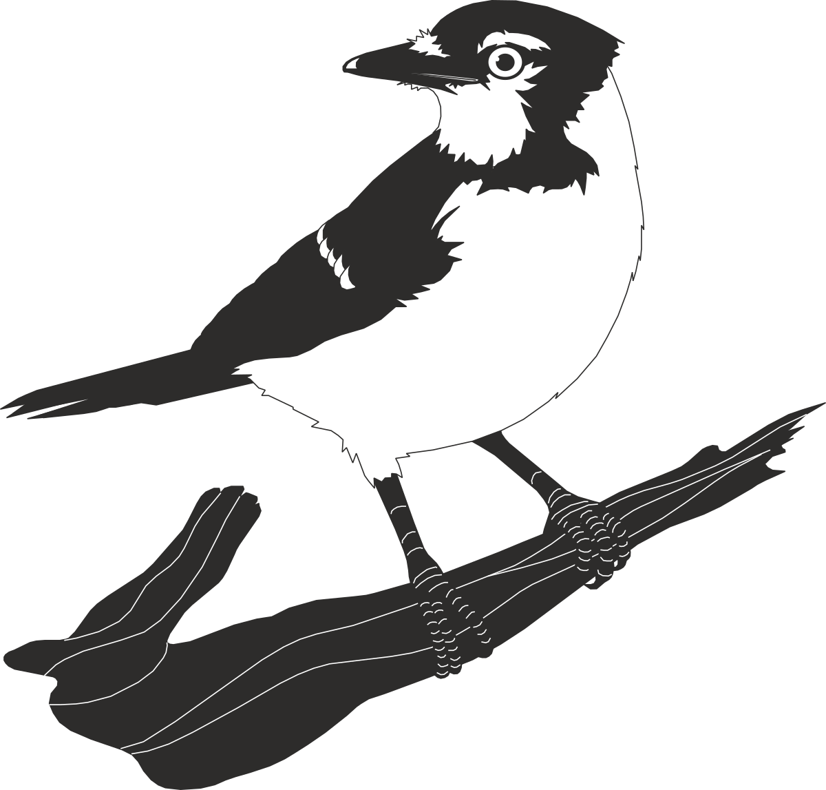 Bird on Branch Clipart - Perfect for Nature Themes