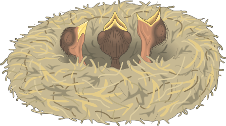 Bird Nest with Two Birds - Charming Clipart for Nature Lovers