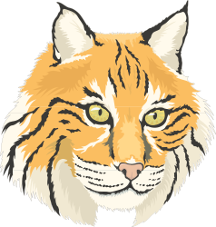 Tiger Face Clipart with Striking Green Eyes