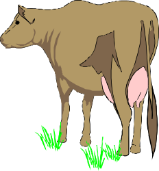 Cow in Grass Clipart: Realistic and Detailed Farm Animal Illustration