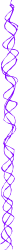 Stylish Purple Swirl on Black Background - Elegant Borders and Bars Clipart