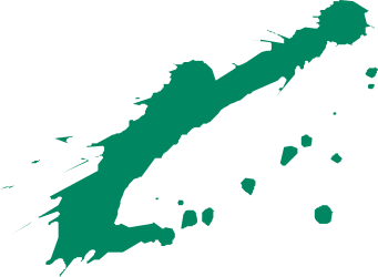 Green New Zealand Map Clipart - High-Quality SVG for Creative Projects