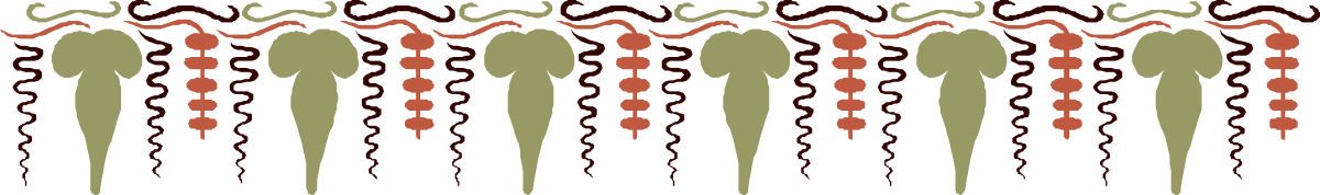 a line of people with long hair and long legs clip art png transparent Borders of People with Long Hair and Legs - Unique Clipart for Your Projects