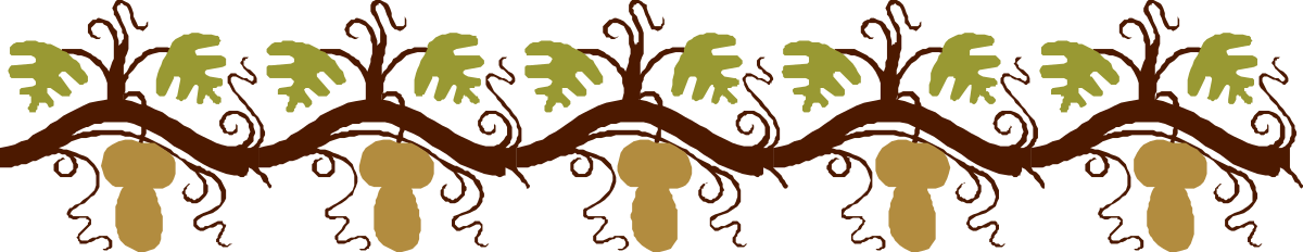 a group of people standing in a line clip art png transparent Borders of Nature: Diverse Group of People Standing in a Line Clipart