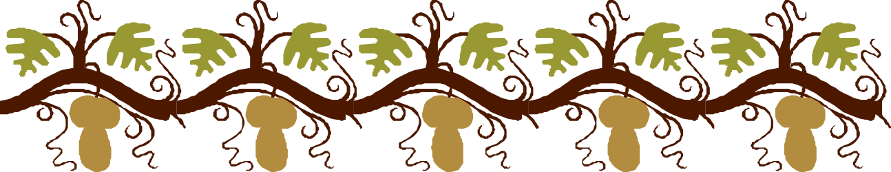 Borders of Nature: Diverse Group of People Standing in a Line Clipart