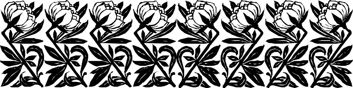 Black and White Feathers Pattern - Elegant Borders Clipart