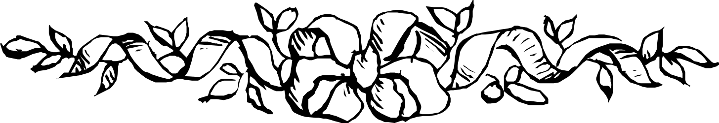 Black and White Decorative Borders with Plant Elements Clipart