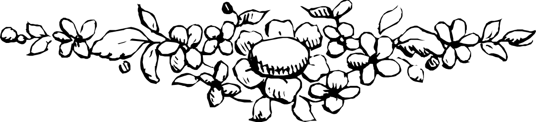 Skull Clipart in Black and White - Intricate Borders and Plants