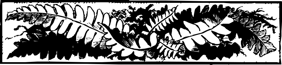 Black and White Plant Clipart - Elegant Borders and Botanical Designs