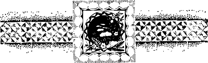 Lion Clipart: Stunning Black and White Illustration for Creative Borders and Bars