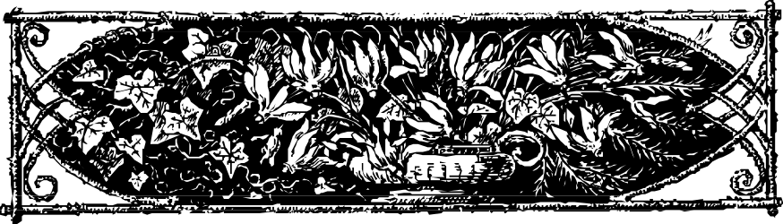 Black and White Plant Clipart - Elegant Borders and Floral Designs